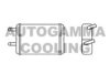AUTOGAMMA 103787 Heat Exchanger, interior heating
